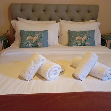 Andromachi'S Beloi Hotel Vitsa ภายนอก รูปภาพ