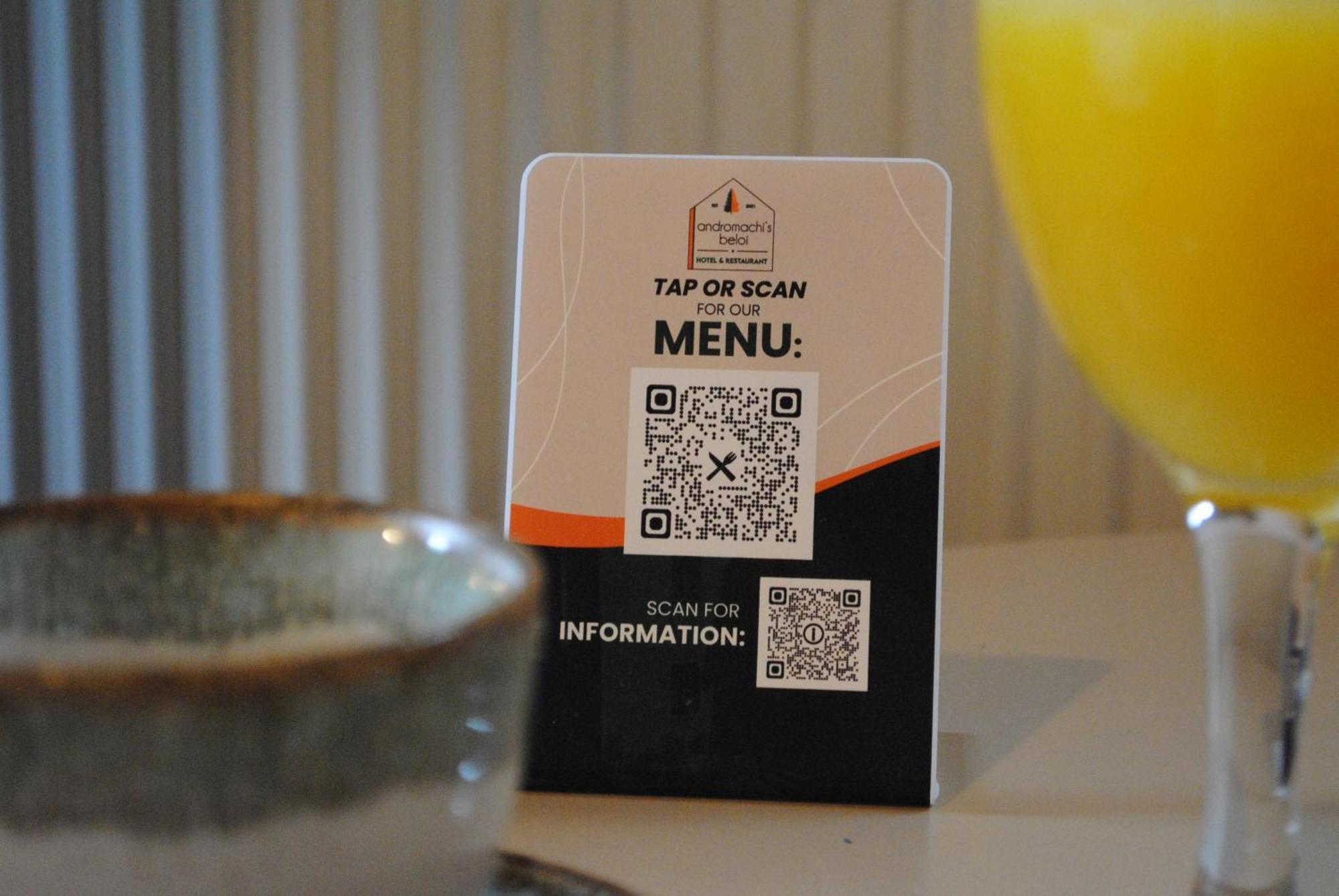 Andromachi'S Beloi Hotel Vitsa ภายนอก รูปภาพ